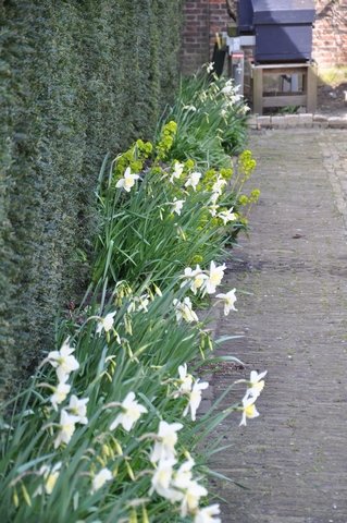 Lentebezichtiging 2015