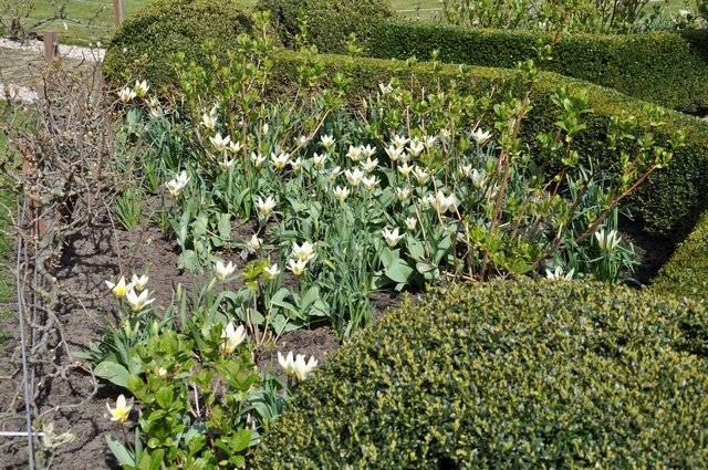 Lentebezichtiging 2015