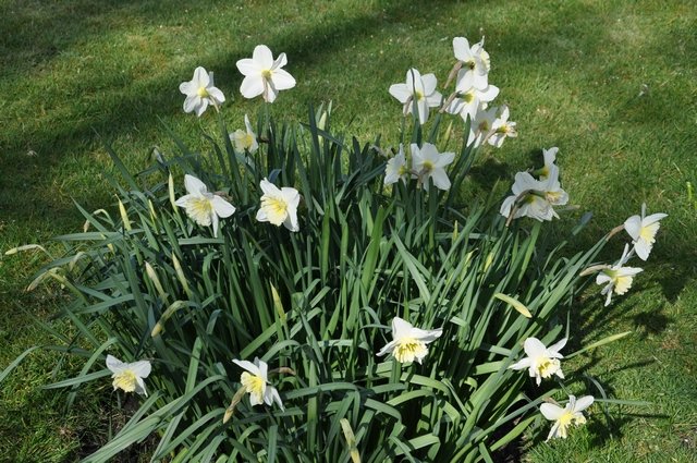 Lentebezichtiging 2015