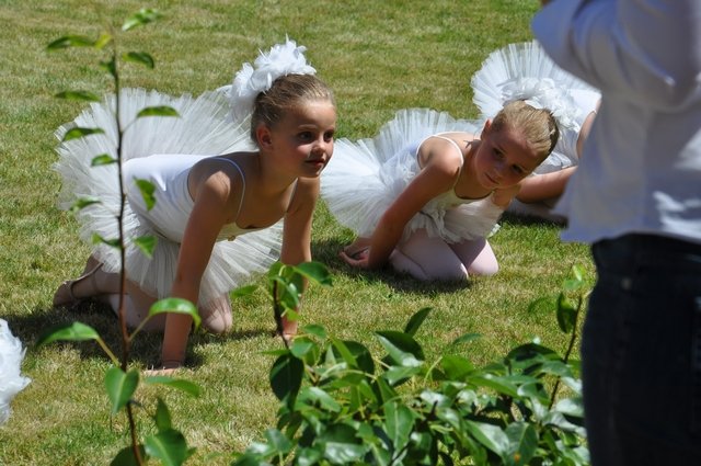 Oranjeappeldag 2014