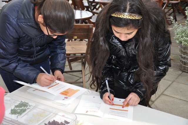 Week van de Smaak 2013