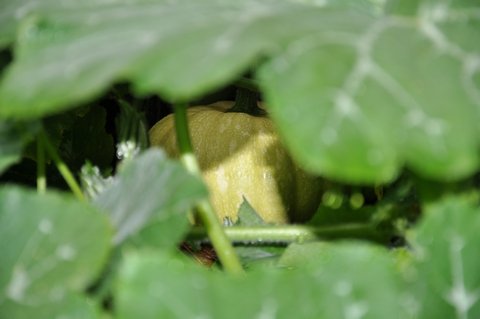 Week van de Smaak 2012 - Smaaklessen