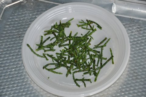 Week van de Smaak 2012 - Smaaklessen