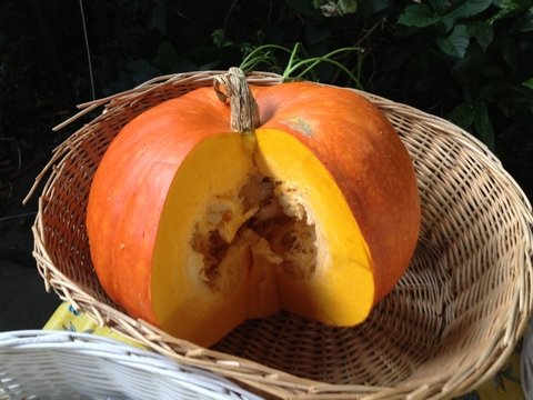 Week van de Smaak 2012 - Smaaklessen