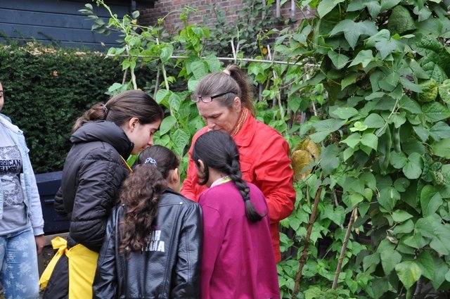 Week van de Smaak 2014